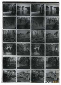 Château, parc et forêt (Versailles, Cernay, Meudon)