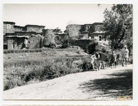 Âne chargé de paniers (Aït Ali)