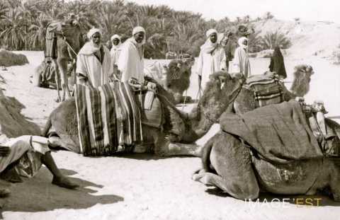 Bédouins (Maroc)