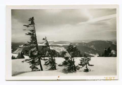 Montagnes enneigées (Vosges)