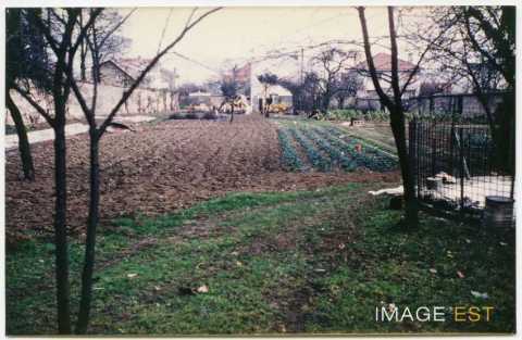 Champ de culture (Maxéville)