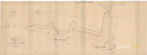 Feuille de la forêt de Maxéville