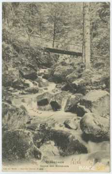 Gorge des Roitelets (Gérardmer)