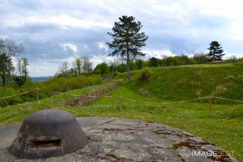 Observatoire cuirassé (Frouard)