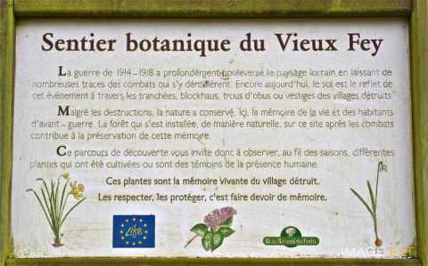 Sentier botanique (Fey-en-Haye)