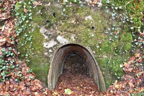 Abri (Montauville)