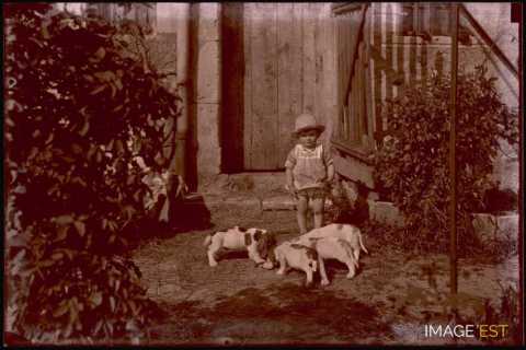 Repas de chiens (Germiny)