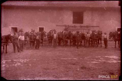 Paysans et chevaux (Germiny)