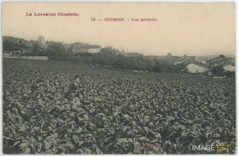 Champ cultivé (Germiny)