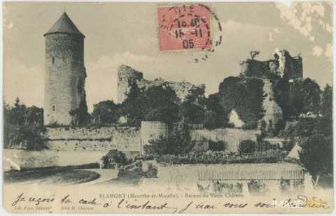 Vestiges du château (Blâmont)