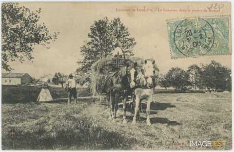 Fenaison (Moncel)