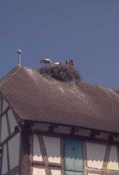 Écomusée d'Alsace (Ungersheim)