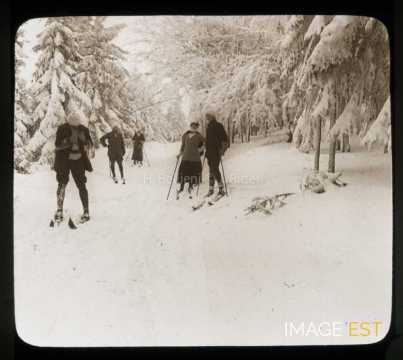 Groupe de skieurs en forêt (Gérardmer)