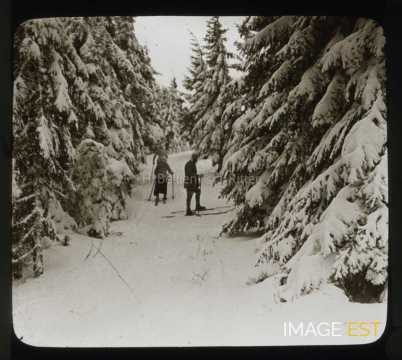 Groupe de skieurs en forêt (Gérardmer)