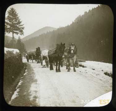 Chevaux tractant des chariots (Grandfontaine)