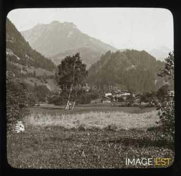 Prés de Bionnassay (Saint-Gervais-les-Bains)
