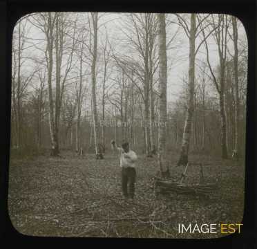 Forestier