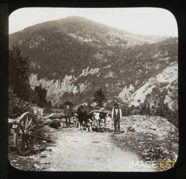 Vallée de Masevaux (Sewen)