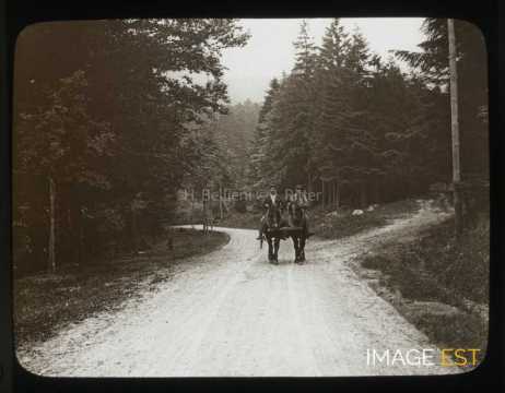 Hommes à cheval au Donon (Grandfontaine)