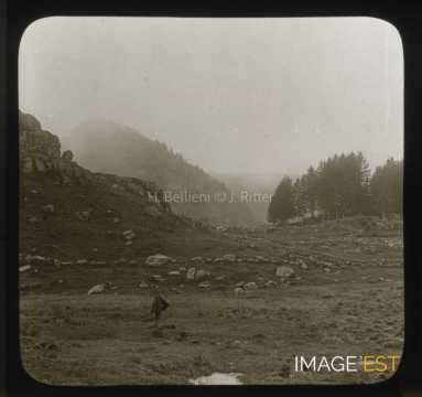 Col de Grosse Pierre (La Bresse)