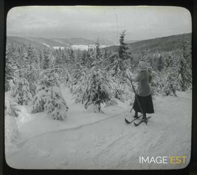 Skieuse observant le paysage (Gérardmer)