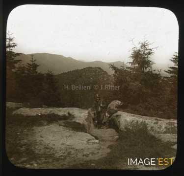 Au sommet du Donon (Grandfontaine)