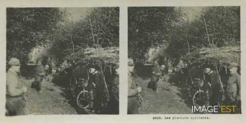 Plantons cyclistes