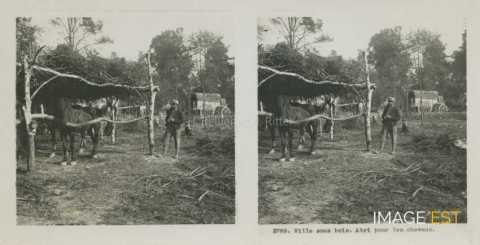 Abri pour chevaux