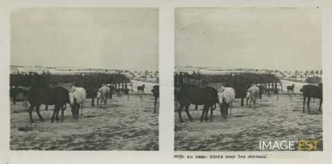 Abri pour chevaux