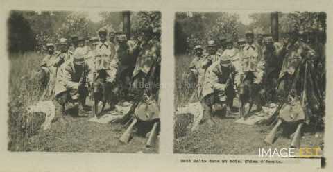 Chien d'écoute