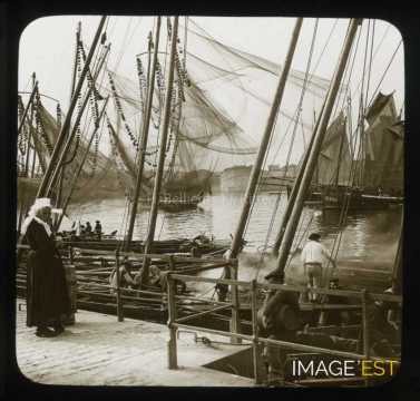 Sardiniers et pêcheurs de thon (Concarneau)