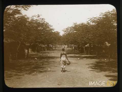 Rue plantée de flamboyants (Kita)