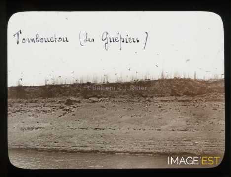 Guêpiers d'Europe (Tombouctou)