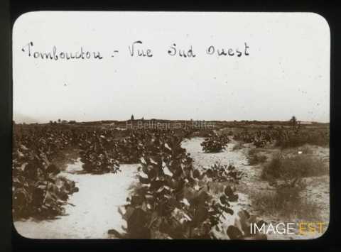 Vue sud ouest (Tombouctou)