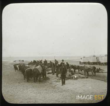 Plage (Ostende)