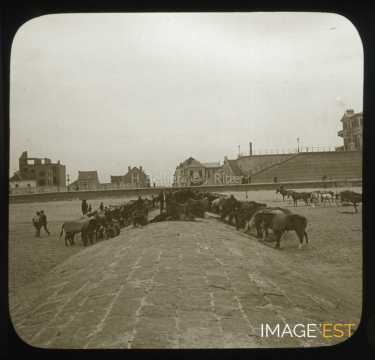 Plage (Ostende)