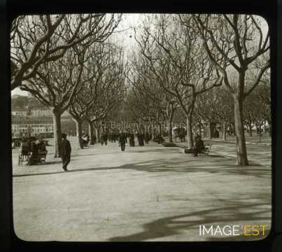 Promenade des platanes (Cannes)