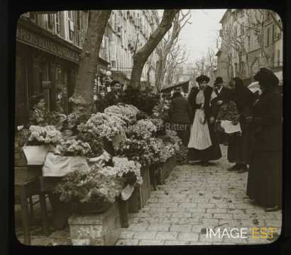 Marché aux fleurs (Toulon)
