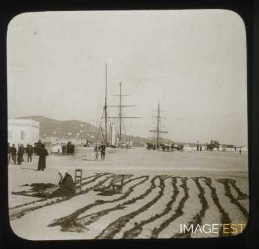 Ramendage au port (Cannes)