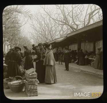 Marché aux fleurs (Cannes)