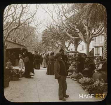 Marché aux fleurs (Cannes)