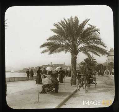 Promenade de la Croisette (Cannes)
