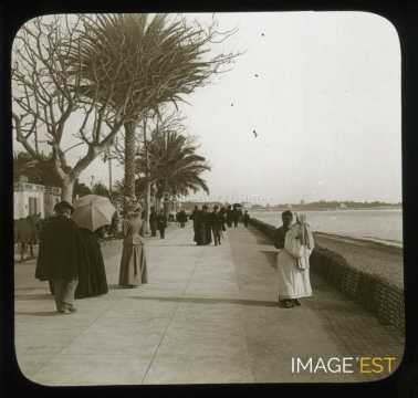 Promenade de la Croisette (Cannes)