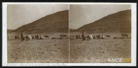 Arrivée de la caravane (Abydos)