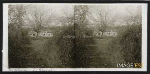 La Fringale (Fontaines-en-Sologne)