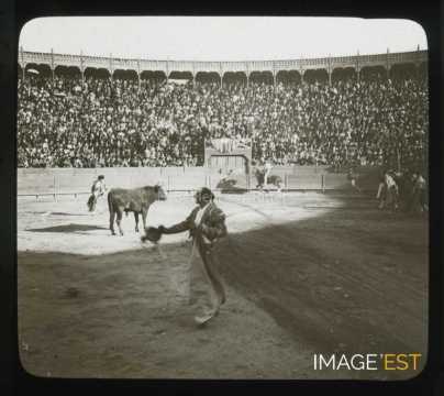 Corrida (Mexico)