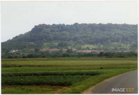 Mont-le-Vignoble (Meurthe-et-Moselle)