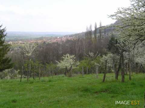 Mont-le-Vignoble (Meurthe-et-Moselle)