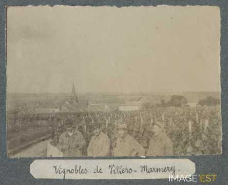Vignobles (Villers-Marmery)