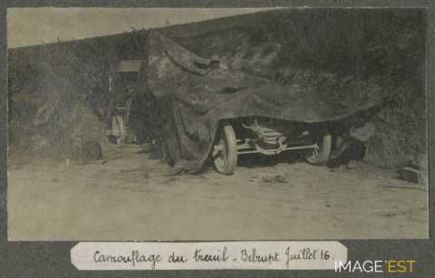 Camouflage d'un treuil (Belrupt-en-Verdunois)